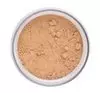 INGLOT PERFECT FINISH LOOSE POWDER 15 23G