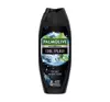 PALMOLIVE MEN INTENSE SHOWER GEL 4IN1 COOL SPLASH 500ML