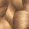 GARNIER OLIA PERMANENT HAIR COLOR NO AMMONIA 8.31 GOLDEN ASHY BLONDE