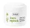 ZIAJA CUCUMBER MOISTURIZING CREAM 100ML