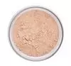 INGLOT PERFECT FINISH LOOSE POWDER 04 23G