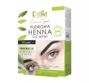 DELIA POWDER HENNA FOR EYEBROW 1.0 BLACK