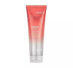 JOICO YOUTHLOCK CONDITIONER FOR MATURE HAIR 250ML