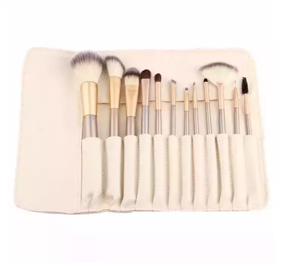 A SET OF 12 PROFESSIONAL MAKEUP BRUSHES + ETUI