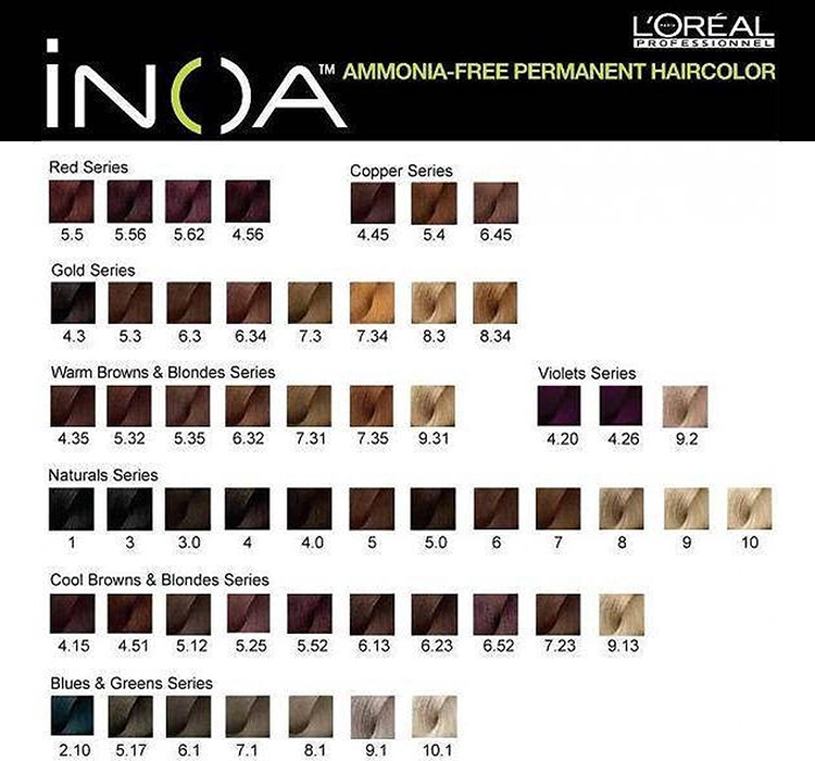 LOREAL PROFESSIONNEL iNOA PERMANENT HAIR COLOUR NO AMMONIA 10 60G