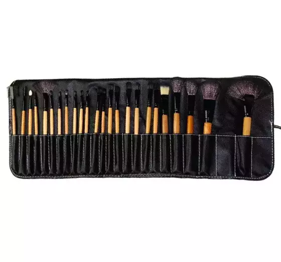 SET OF 24 PROFESSIONAL MAKEUP BRUSHES CASE