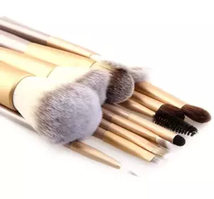 A SET OF 12 PROFESSIONAL MAKEUP BRUSHES + ETUI