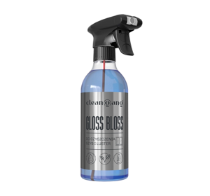 CLEANGANG GLOSS BOSS WINDOW AND GLASS CLEANER  500ML