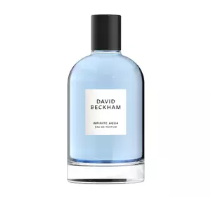 DAVID BECKHAM INFINITE AQUA EAU DE PARFUM SPRAY 100ML