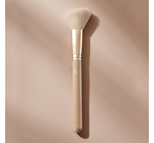 EVELINE ANGLED CONTOUR BRUSH F02