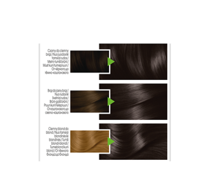 GARNIER COLOR NATURALS PERMANENT HAIR COLOUR 2.0 VERY DARK BROWN