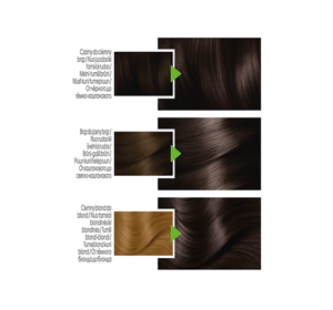 GARNIER COLOUR NATURALS PERMANENT HAIR DYE 3 DARK BROWN