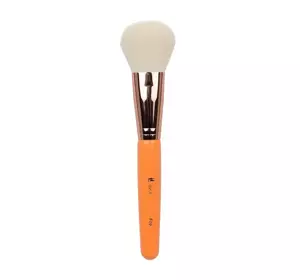 IBRA FRESH MAKEUP BRUSH F09