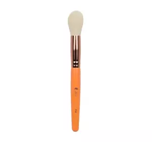 IBRA FRESH SET OF 9 MAKEUP BRUSHES