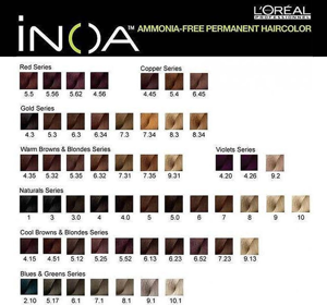 LOREAL PROFESSIONNEL iNOA PERMANENT HAIR COLOUR NO AMMONIA 1 60G