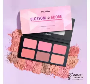 MOIRA BLOSSOM&ADORE FACE MAKEUP PALETTE 33G