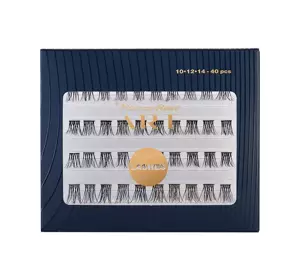 PIERRE RENE ART PERFECTION LASHES ART INDIVIDUAL CLUSTERS