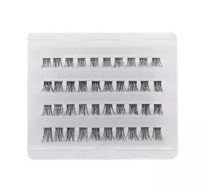 PIERRE RENE ART PERFECTION LASHES ART INDIVIDUAL CLUSTERS