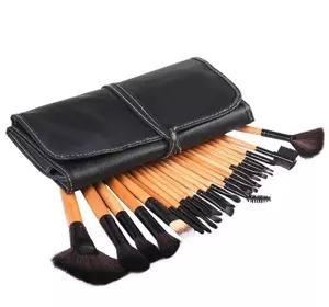 SET OF 24 PROFESSIONAL MAKEUP BRUSHES CASE