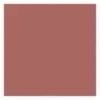 GOLDEN ROSE CREAMY BLUSH STICK STIFT-ROUGE 107