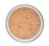 INGLOT PERFECT FINISH LOOSE POWDER 15 23G