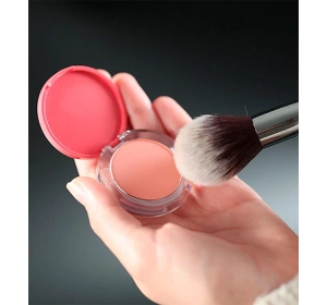 BELL THE BEST BLUSH POWDER MATTE BLUSH 02 ROSY 3.7G