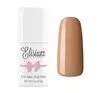 ELISIUM HYBRID NAIL POLISH 159 BROWNIE 9G 