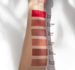 PIERRE RENE COVER MATTE LIPSTICK 01 TRUE RED 5ML