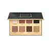 PIERRE RENE EYESHADOW PALETTE DANGEROUS 8 x 1.3G