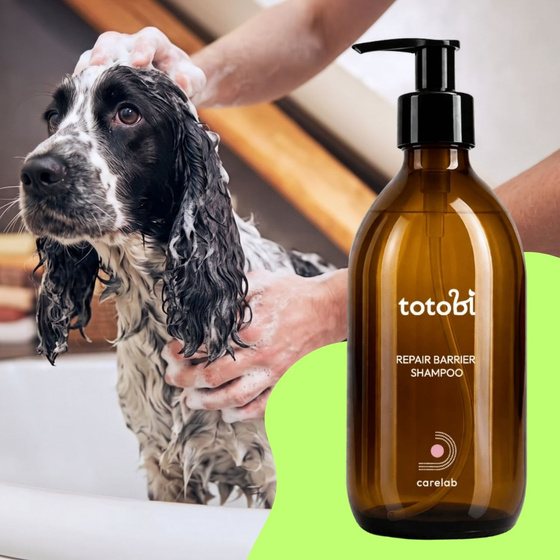 Totobi Carelab Repair Barrier Shampoo: A deeply regenerating shampoo that strengthens the natural protective barrier of dogs' and cats' skin, 250 ml