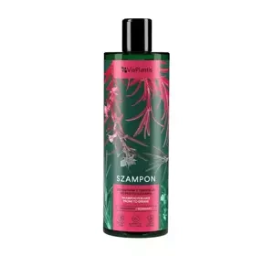 VIS PLANTIS SHAMPOO FOR HAIR PRONE TO GREASE