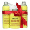 BINGOSPA ALGAE SET WITH VANILLA SCENT SHOWER GEL + BATH LOTION + 2IN1 SHAMPOO AND SHOWER GEL