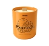 Ravina Orange Scented Soy Candle 175g