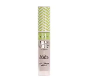 LOVELY FRESH AND JUICY FACE CONCEALER 2 4.2G