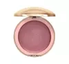 AFFECT DREAM CREAM BLUSH TOKYO 10G