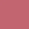 BOURJOIS EFFET 3D LIP GLOSS 03 BRUN ROSE ACADEMIC