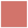 GOLDEN ROSE CREAMY BLUSH STICK 110