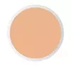 PASTEL PRO FASHION LIQUID CONCEALER CAMOUFLAGING 104 TAN 7ML