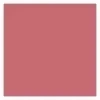 GOLDEN ROSE CREAMY BLUSH STICK 109