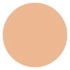 CATRICE ULTIMATE CAMOUFLAGE CREAM CONCEALER 015W FAIR  3G