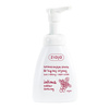ZIAJA INTIMA NORMALIZING INTIMATE HYGIENE FOAM CRANBERRY NECTAR 250ML
