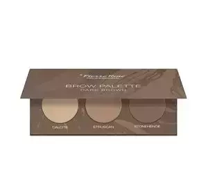 PIERRE RENE BROW PALETTE DARK BROWN 3x1.3G
