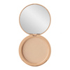 PAESE MATTIFYING FACE POWDER WITH ARGAN OIL No. 1