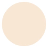 LOREAL TRUE MATCH RADIANT SERUM CONCEALER 1N 11ML