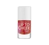 PASTEL LIP TO CHEEK LIPSTICK AND LIQUID BLUSH LOLITA 9.6ML