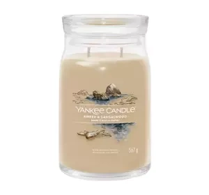 YANKEE CANDLE SIGNATURE SCENTED CANDLE AMBER & SANDALWOOD 567G