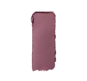 MAYBELLINE SUPERSTAY INK CRAYON MATTE 25 STAY EXCEPTIONAL LIPSTICK