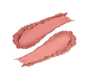 PASTEL CHEEK TO CHEEK DUO BLUSH SET 10 HOT PINK 8.6G