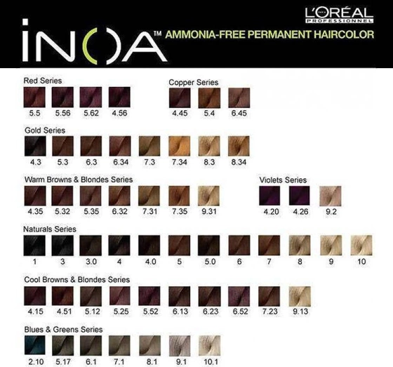 LOREAL PROFESSIONNEL iNOA PERMANENT HAIR COLOUR NO AMMONIA 6.1 60G