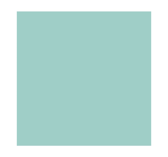 SALLY HANSEN INSTA-DRI NAIL POLISH 510 GAIN-MO-MINT-UM 9.17ML